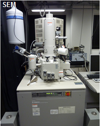 Scanning Electron Microscopy